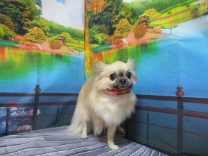 るんるんちゃん