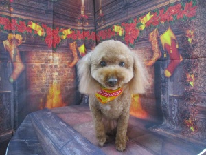 ベティーちゃん