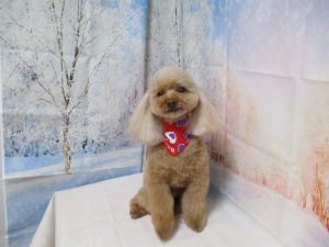 ラブリーちゃん