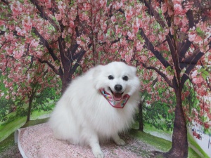サラちゃん
