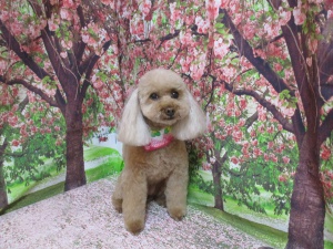 ラブリーちゃん