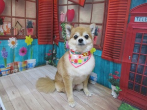 るりちゃん