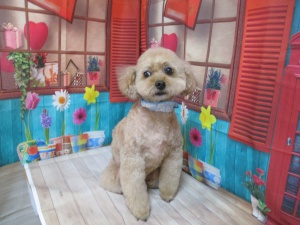 8くん