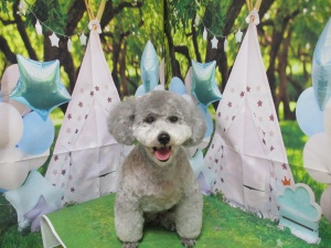 さくらちゃん