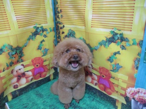 ごえもんくん