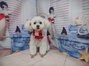 ゆずちゃん
