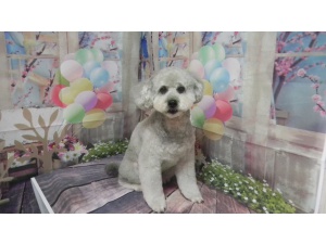 8くん