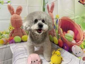 6くん