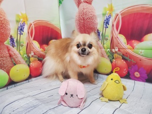 るんるんちゃん