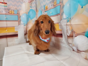 ミッキーくん