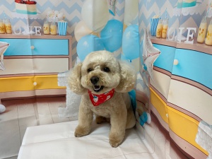 らんちゃん