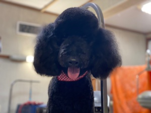 れおくん
