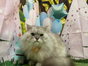 ヒカルくん