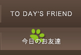 TO DAY'S FRIEND